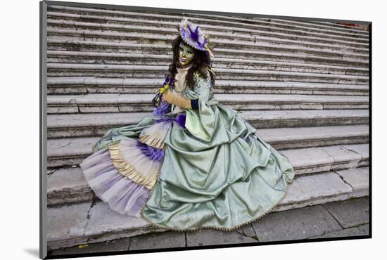 Venice, Italy. Mask and Costumes at Carnival-Darrell Gulin-Mounted Photographic Print