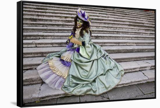 Venice, Italy. Mask and Costumes at Carnival-Darrell Gulin-Framed Stretched Canvas