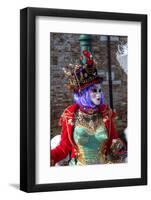 Venice, Italy. Mask and Costumes at Carnival-Darrell Gulin-Framed Photographic Print