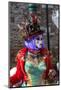 Venice, Italy. Mask and Costumes at Carnival-Darrell Gulin-Mounted Photographic Print