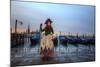 Venice, Italy. Mask and Costumes at Carnival-Darrell Gulin-Mounted Photographic Print