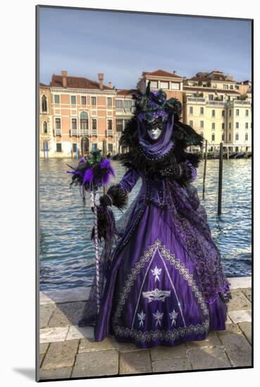 Venice, Italy. Mask and Costumes at Carnival-Darrell Gulin-Mounted Photographic Print