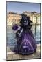 Venice, Italy. Mask and Costumes at Carnival-Darrell Gulin-Mounted Photographic Print