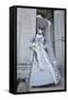 Venice, Italy. Mask and Costumes at Carnival-Darrell Gulin-Framed Stretched Canvas