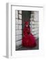 Venice, Italy. Mask and Costumes at Carnival-Darrell Gulin-Framed Photographic Print