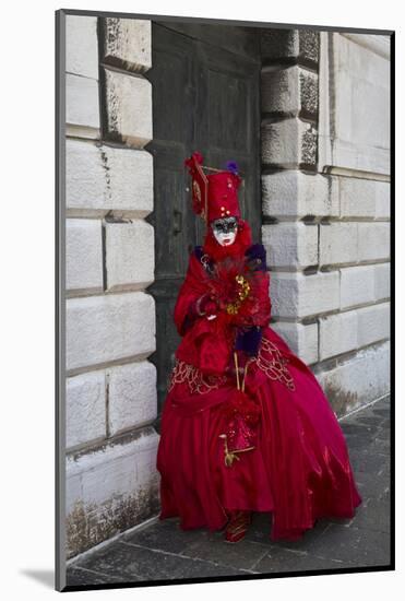 Venice, Italy. Mask and Costumes at Carnival-Darrell Gulin-Mounted Photographic Print