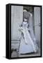 Venice, Italy. Mask and Costumes at Carnival-Darrell Gulin-Framed Stretched Canvas