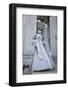 Venice, Italy. Mask and Costumes at Carnival-Darrell Gulin-Framed Photographic Print