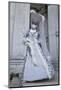 Venice, Italy. Mask and Costumes at Carnival-Darrell Gulin-Mounted Photographic Print