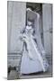 Venice, Italy. Mask and Costumes at Carnival-Darrell Gulin-Mounted Photographic Print