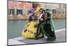 Venice, Italy. Mask and Costumes at Carnival-Darrell Gulin-Mounted Photographic Print