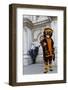 Venice, Italy. Mask and Costumes at Carnival-Darrell Gulin-Framed Photographic Print