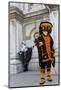 Venice, Italy. Mask and Costumes at Carnival-Darrell Gulin-Mounted Photographic Print