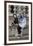 Venice, Italy. Mask and Costumes at Carnival-Darrell Gulin-Framed Premium Photographic Print