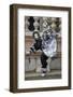 Venice, Italy. Mask and Costumes at Carnival-Darrell Gulin-Framed Photographic Print