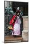 Venice, Italy. Mask and Costumes at Carnival-Darrell Gulin-Mounted Photographic Print