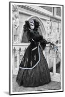 Venice, Italy. Mask and Costumes at Carnival-Darrell Gulin-Mounted Photographic Print