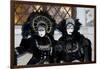 Venice, Italy. Mask and Costumes at Carnival-Darrell Gulin-Framed Premium Photographic Print