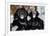 Venice, Italy. Mask and Costumes at Carnival-Darrell Gulin-Framed Photographic Print