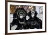 Venice, Italy. Mask and Costumes at Carnival-Darrell Gulin-Framed Photographic Print