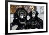 Venice, Italy. Mask and Costumes at Carnival-Darrell Gulin-Framed Photographic Print