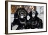 Venice, Italy. Mask and Costumes at Carnival-Darrell Gulin-Framed Photographic Print