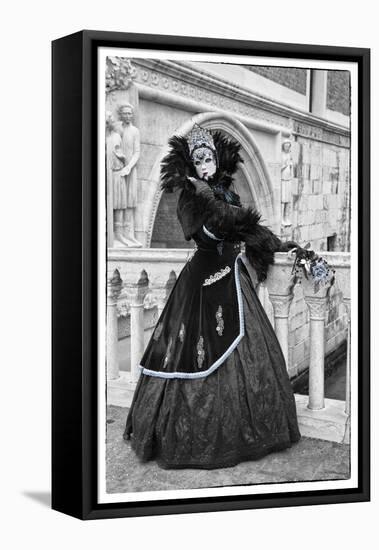 Venice, Italy. Mask and Costumes at Carnival-Darrell Gulin-Framed Stretched Canvas