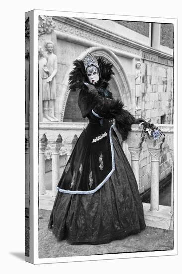 Venice, Italy. Mask and Costumes at Carnival-Darrell Gulin-Stretched Canvas