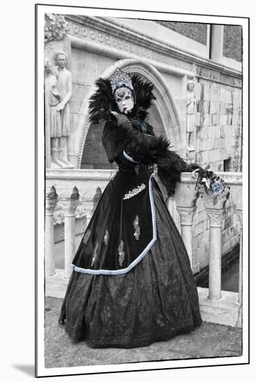 Venice, Italy. Mask and Costumes at Carnival-Darrell Gulin-Mounted Photographic Print