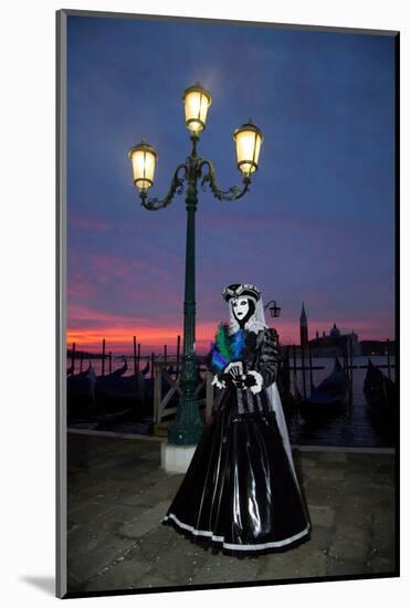 Venice, Italy. Mask and Costumes at Carnival-Darrell Gulin-Mounted Photographic Print