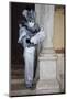 Venice, Italy. Mask and Costumes at Carnival-Darrell Gulin-Mounted Photographic Print