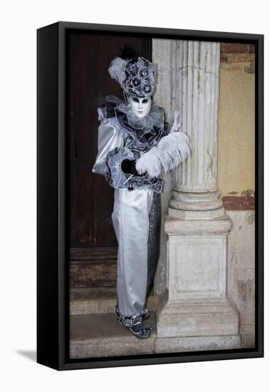 Venice, Italy. Mask and Costumes at Carnival-Darrell Gulin-Framed Stretched Canvas