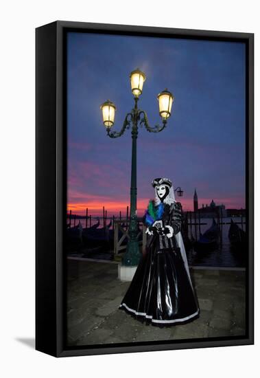 Venice, Italy. Mask and Costumes at Carnival-Darrell Gulin-Framed Stretched Canvas