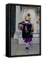 Venice, Italy. Mask and Costumes at Carnival-Darrell Gulin-Framed Stretched Canvas