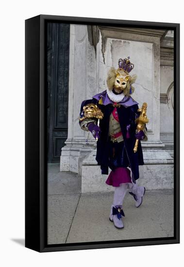 Venice, Italy. Mask and Costumes at Carnival-Darrell Gulin-Framed Stretched Canvas