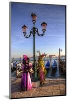 Venice, Italy. Mask and Costumes at Carnival-Darrell Gulin-Mounted Photographic Print