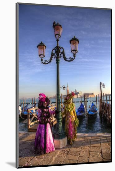 Venice, Italy. Mask and Costumes at Carnival-Darrell Gulin-Mounted Photographic Print