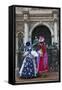 Venice, Italy. Mask and Costumes at Carnival-Darrell Gulin-Framed Stretched Canvas