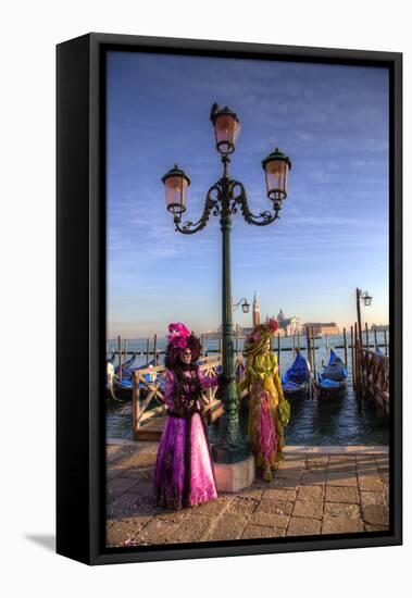Venice, Italy. Mask and Costumes at Carnival-Darrell Gulin-Framed Stretched Canvas