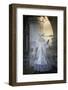 Venice, Italy. Mask and Costumes at Carnival-Darrell Gulin-Framed Photographic Print