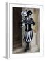 Venice, Italy. Mask and Costumes at Carnival-Darrell Gulin-Framed Photographic Print