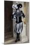 Venice, Italy. Mask and Costumes at Carnival-Darrell Gulin-Mounted Photographic Print