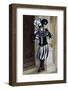 Venice, Italy. Mask and Costumes at Carnival-Darrell Gulin-Framed Photographic Print