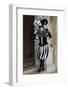 Venice, Italy. Mask and Costumes at Carnival-Darrell Gulin-Framed Photographic Print