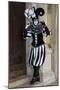 Venice, Italy. Mask and Costumes at Carnival-Darrell Gulin-Mounted Photographic Print