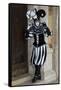 Venice, Italy. Mask and Costumes at Carnival-Darrell Gulin-Framed Stretched Canvas