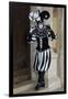 Venice, Italy. Mask and Costumes at Carnival-Darrell Gulin-Framed Photographic Print