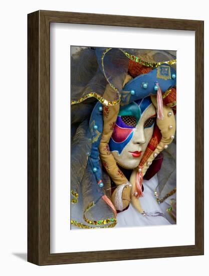 Venice, Italy. Mask and Costumes at Carnival-Darrell Gulin-Framed Photographic Print