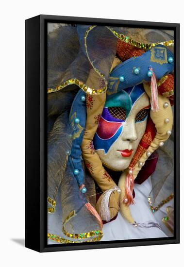 Venice, Italy. Mask and Costumes at Carnival-Darrell Gulin-Framed Stretched Canvas