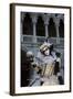 Venice, Italy. Mask and Costumes at Carnival-Darrell Gulin-Framed Photographic Print